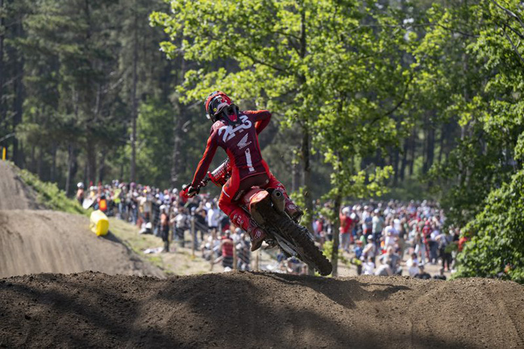 HMX 1