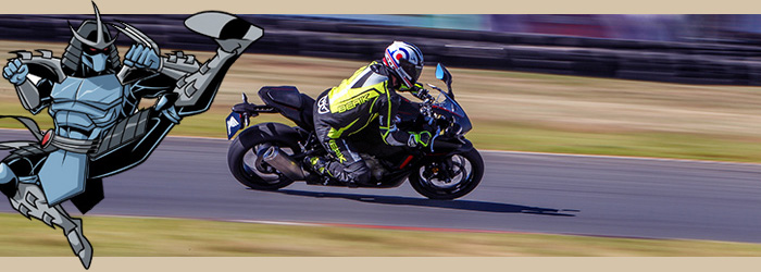 2017 FIREBLADE GROUPED04