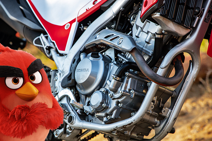 CRF300 last