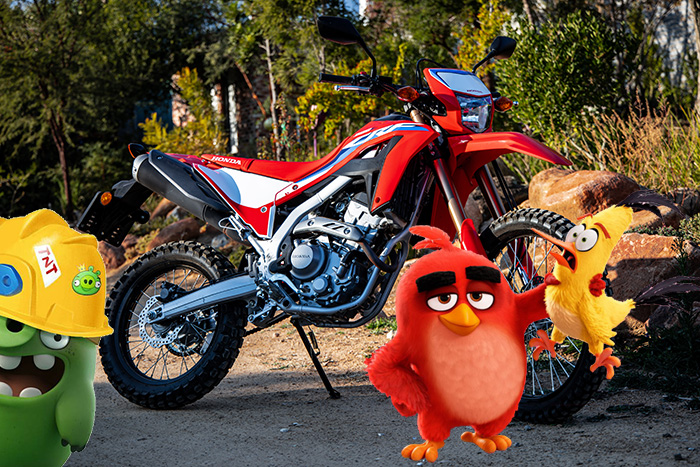 CRF300 middle