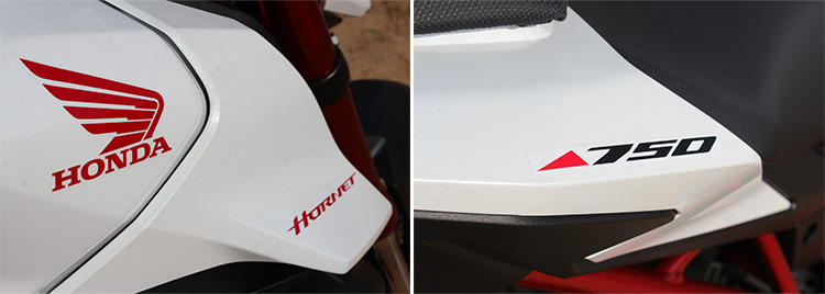 hornet group01