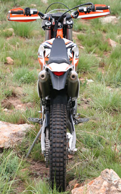 freeride back