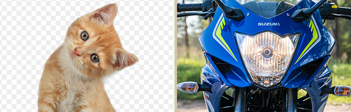 GSX250R GROUPED02