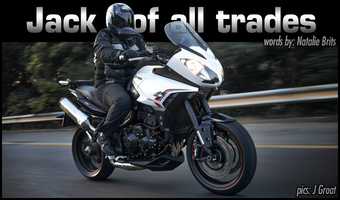 tiger sport main image
