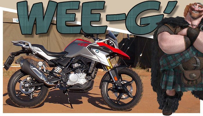 G310GS main