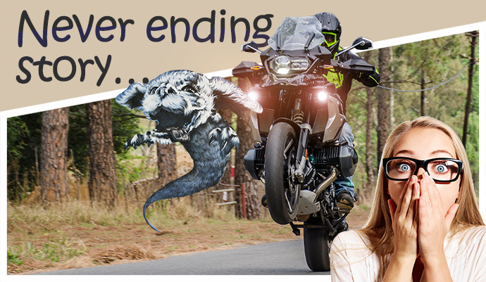 BMW R 1250 GS main