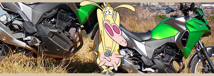 Kawasaki 300 versys GROUPED06