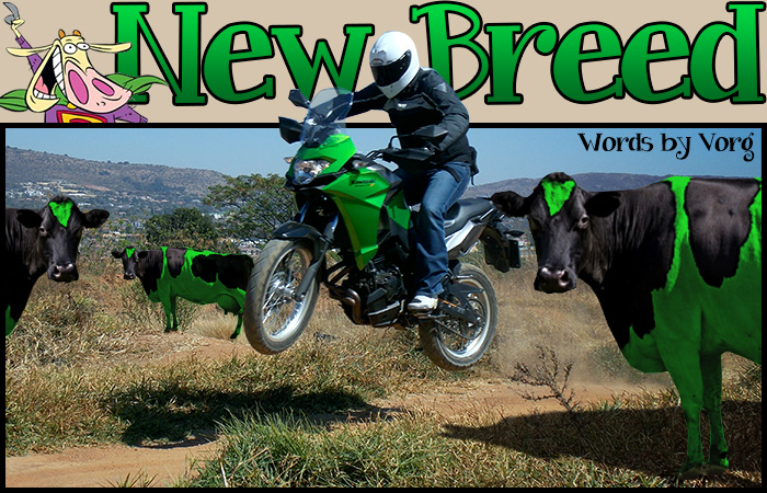 Kawasaki 300 versys mainimage